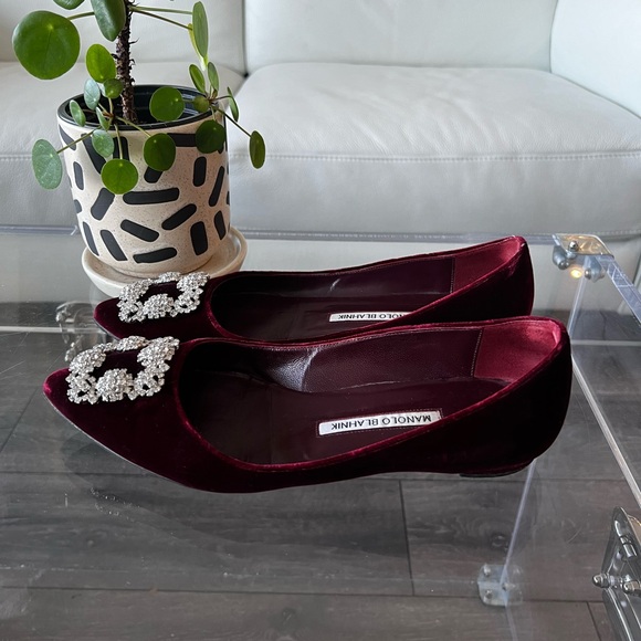MANOLO BLAHNIK HANGISI FLAT IN BURGUNDY VELVET - Picture 4 of 10